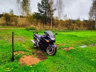 ZZR 1100